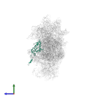 Small ribosomal subunit protein uS4A in PDB entry 6wdr, assembly 1, side view.