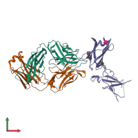 PDB entry 6wgl coloured by chain, front view.
