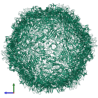 Penaeus monodon metallodensovirus major capsid protein in PDB entry 6wh3, assembly 1, side view.