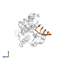 DNA (5'-D(P*TP*AP*GP*C)-3') in PDB entry 6whm, assembly 1, side view.