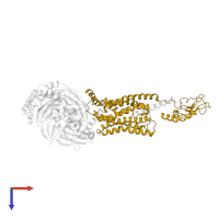 Secretin receptor in PDB entry 6wi9, assembly 1, top view.