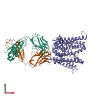 PDB entry 6wik coloured by chain, front view.