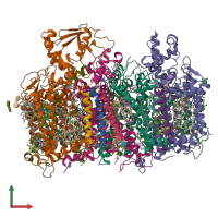 PDB entry 6wj6 coloured by chain, front view.