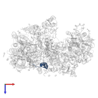 Photosystem II reaction center protein L in PDB entry 6wj6, assembly 1, top view.