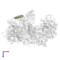 Photosystem II reaction center protein X in PDB entry 6wj6, assembly 1, top view.