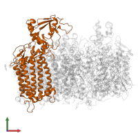 Photosystem II CP47 reaction center protein in PDB entry 6wj6, assembly 1, front view.