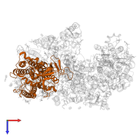 Photosystem II CP47 reaction center protein in PDB entry 6wj6, assembly 1, top view.