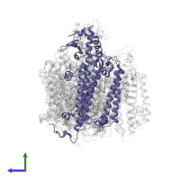 Photosystem II CP43 reaction center protein in PDB entry 6wj6, assembly 1, side view.