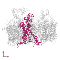 Photosystem II D2 protein in PDB entry 6wj6, assembly 1, front view.