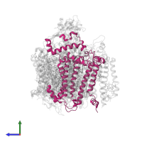 Photosystem II D2 protein in PDB entry 6wj6, assembly 1, side view.