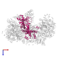 Photosystem II D2 protein in PDB entry 6wj6, assembly 1, top view.