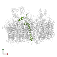 Cytochrome b559 subunit alpha in PDB entry 6wj6, assembly 1, front view.