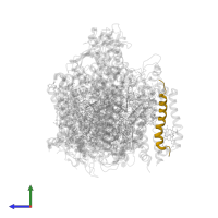 Cytochrome b559 subunit beta in PDB entry 6wj6, assembly 1, side view.