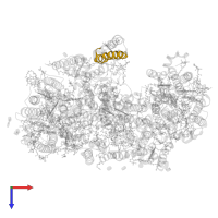 Cytochrome b559 subunit beta in PDB entry 6wj6, assembly 1, top view.