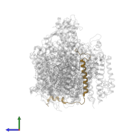 Photosystem II reaction center protein H in PDB entry 6wj6, assembly 1, side view.