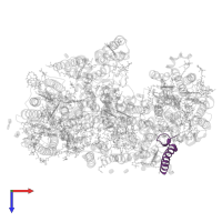 Photosystem II reaction center protein I in PDB entry 6wj6, assembly 1, top view.