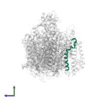 Photosystem II reaction center protein K in PDB entry 6wj6, assembly 1, side view.