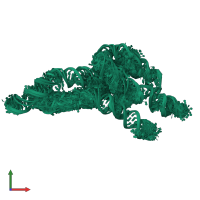 PDB entry 6wlo coloured by chain, ensemble of 80 models, front view.