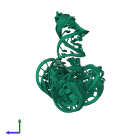 PDB entry 6wlr coloured by chain, ensemble of 20 models, side view.