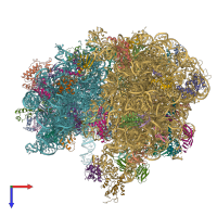 PDB entry 6wnv coloured by chain, top view.