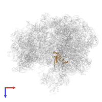 Large ribosomal subunit protein bL19 in PDB entry 6wnv, assembly 1, top view.