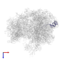 Large ribosomal subunit protein uL4 in PDB entry 6wnv, assembly 1, top view.