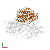 Tubulin, beta 2B class IIb in PDB entry 6wwf, assembly 1, front view.