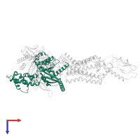 Guanine nucleotide-binding protein G(s) subunit alpha isoforms short in PDB entry 6x19, assembly 1, top view.