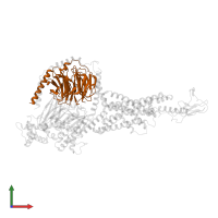 Guanine nucleotide-binding protein G(I)/G(S)/G(T) subunit beta-1 in PDB entry 6x19, assembly 1, front view.