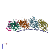 PDB entry 6x1c coloured by chain, top view.