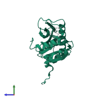 Lon protease homolog, mitochondrial in PDB entry 6x1m, assembly 1, side view.