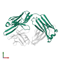 SC44-8 Light chain in PDB entry 6x1v, assembly 1, front view.