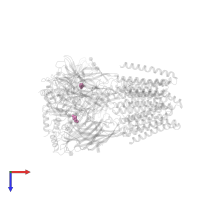 GAMMA-AMINO-BUTANOIC ACID in PDB entry 6x3w, assembly 1, top view.