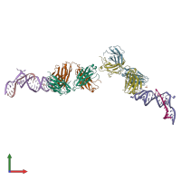 PDB entry 6x5m coloured by chain, front view.