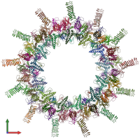 PDB entry 6x66 coloured by chain, front view.