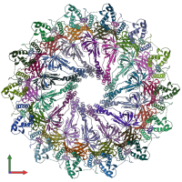 PDB entry 6x6k coloured by chain, front view.