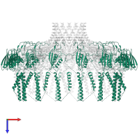 Cag12 in PDB entry 6x6k, assembly 1, top view.