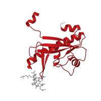 The deposited structure of PDB entry 6x8z contains 2 copies of Pfam domain PF10229 (Methylmalonic aciduria and homocystinuria type D protein) in Cobalamin trafficking protein CblD. Showing 1 copy in chain A.