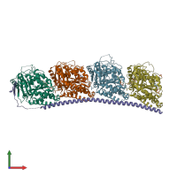 PDB entry 6xet coloured by chain, front view.