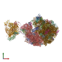 PDB entry 6xgf coloured by chain, front view.