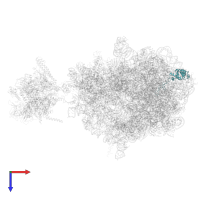 Large ribosomal subunit protein uL4 in PDB entry 6xgf, assembly 1, top view.