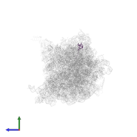 Large ribosomal subunit protein bL27 in PDB entry 6xii, assembly 1, side view.