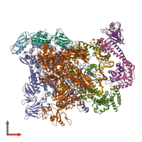 PDB entry 6xl5 coloured by chain, front view.