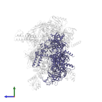 DNA-directed RNA polymerase subunit beta' in PDB entry 6xl5, assembly 1, side view.