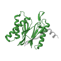 The deposited structure of PDB entry 6xmj contains 1 copy of Pfam domain PF00227 (Proteasome subunit) in Proteasome subunit beta type-5. Showing 1 copy in chain L.