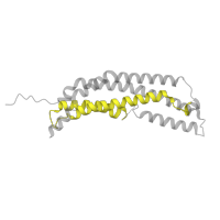 The deposited structure of PDB entry 6xmj contains 7 copies of Pfam domain PF02252 (Proteasome activator pa28 beta subunit) in Proteasome activator PA28 C-terminal domain-containing protein. Showing 1 copy in chain O.