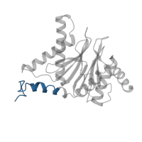 The deposited structure of PDB entry 6xmj contains 1 copy of Pfam domain PF10584 (Proteasome subunit A N-terminal signature) in Proteasome subunit alpha type-6. Showing 1 copy in chain A.