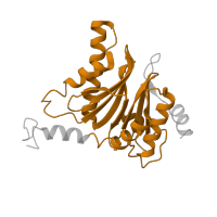 The deposited structure of PDB entry 6xmj contains 1 copy of Pfam domain PF00227 (Proteasome subunit) in Proteasome subunit alpha type-5. Showing 1 copy in chain E.