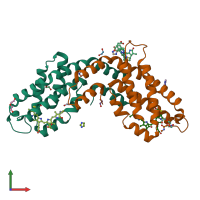 PDB entry 6xwk coloured by chain, front view.