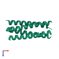 Homo tetrameric assembly 1 of PDB entry 6xy1 coloured by chemically distinct molecules, top view.